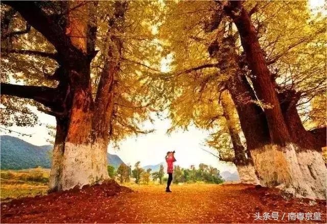 清远连州十大景点大全，清远这10个宝藏景点