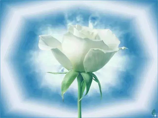 晚安美图170509：微信上有你真好