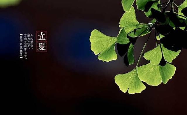 立夏节气的精美图文祝福句