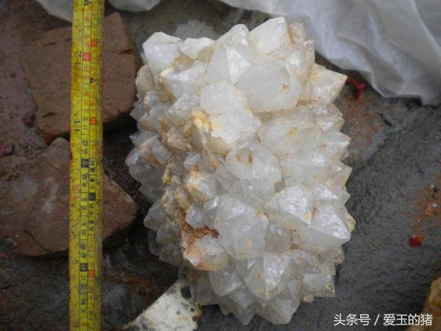 怎么样鉴别玉与石头，以为买的是玉可能真是买了