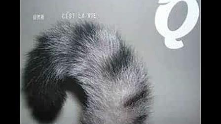 十大最好听小众民谣，八首小众宝藏民谣