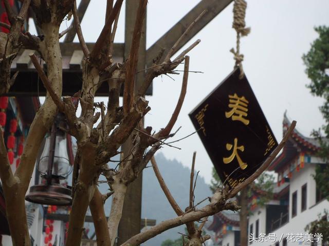 为什么叫恩施女儿城，4A级景区湖北恩施女儿城