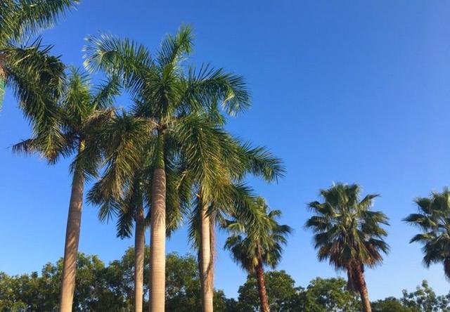 惠州是一个怎么样的城市，惠州-一座在拼搏中掘起的城市