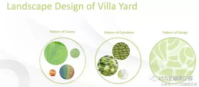 建筑插画线稿，插画，艺术家Flaf