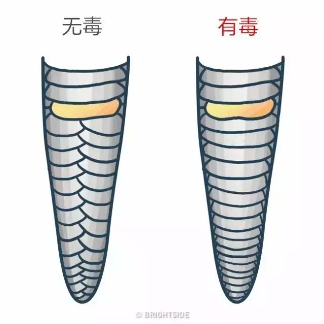 这16个技能会让你活得更久