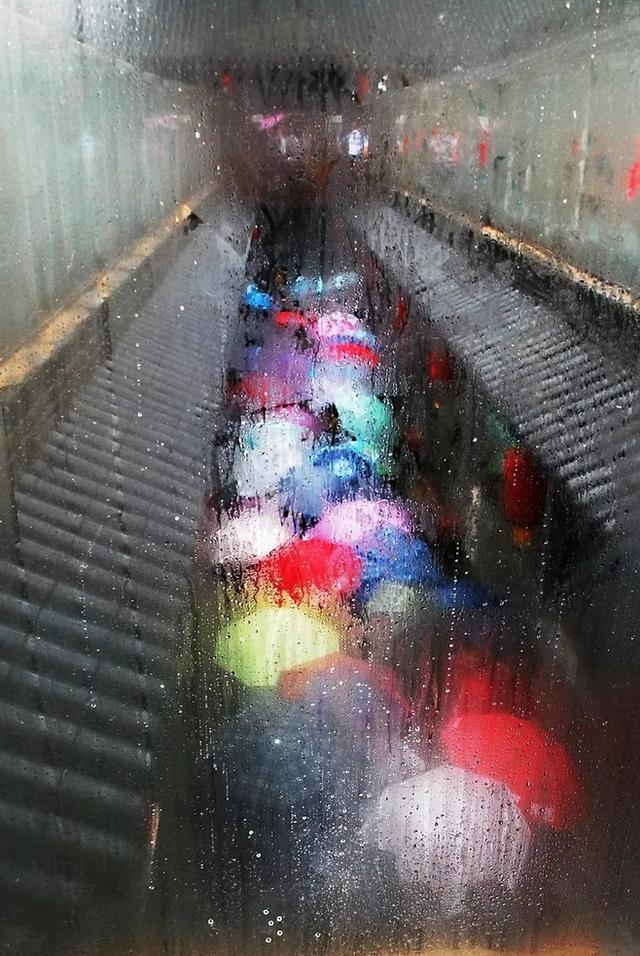 早安美图170520：翻手作云覆手雨，纷纷轻薄何须数
