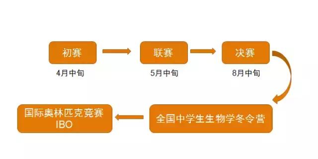 五大学科竞赛含金量排名，五大学科竞赛学哪个“更划算”