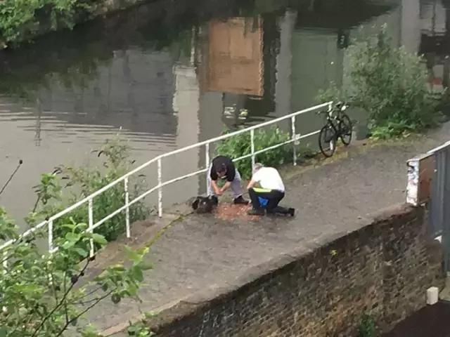 15000枚硬币放在河边的道路上，会发生什么呢？