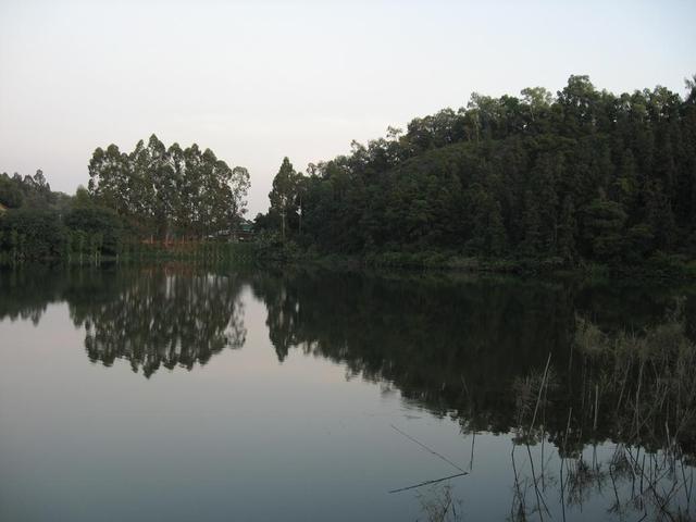 三水森林公园免费景区，三水森林公园休闲