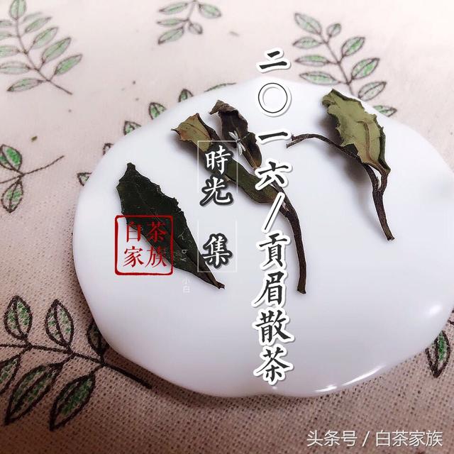 白茶的功效作用，老白茶很好，这样喝更养生