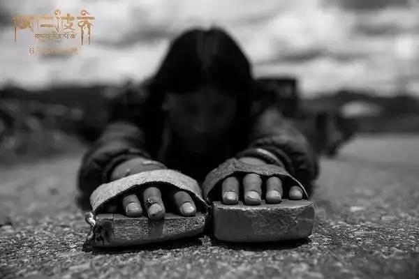 6部值得一看的国产良心电影，看到国产保护月的这些引进片单