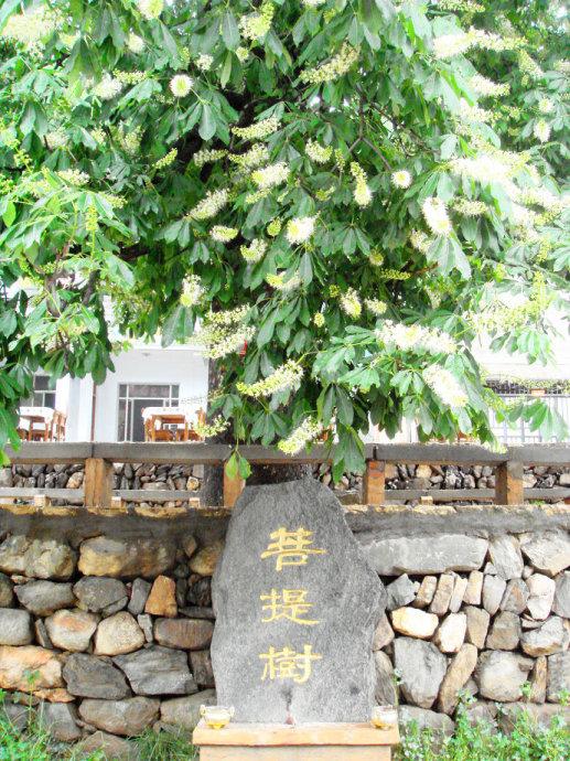 冀玉华肥胖(冀玉华恶心)