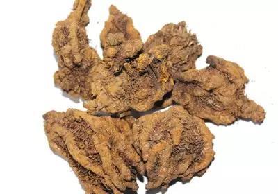 黄连糖尿病(黄连治疗糖尿病最大剂量)