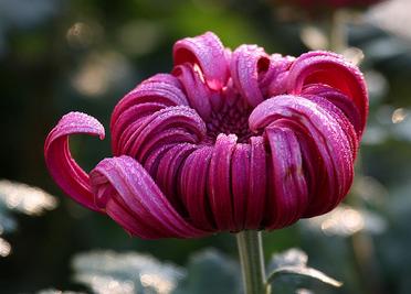 父亲的秘密民间故事，故事父亲的遗嘱