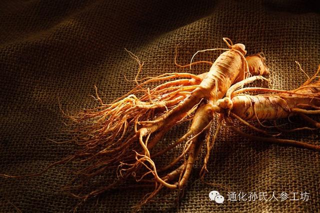 人参汤的做法大全，人参怎么吃