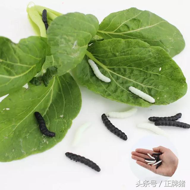 女朋友生日送这些礼物绝对走到分手边缘，你想好了吗？ 送女朋友礼物排行榜