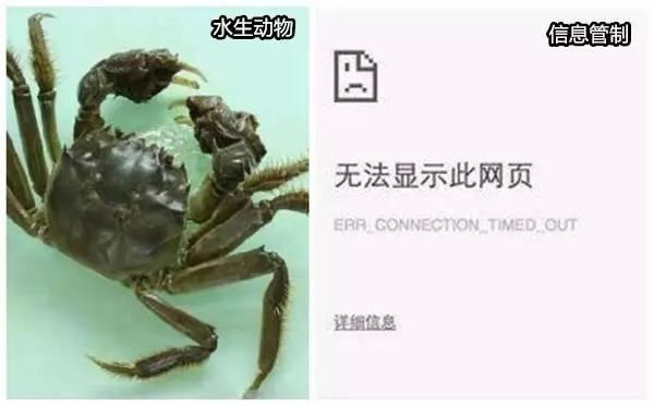 31个词汇测试你的纯洁度，再也回不到过去了