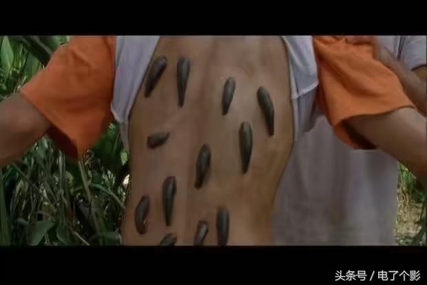 最好的十部探险电影推荐，