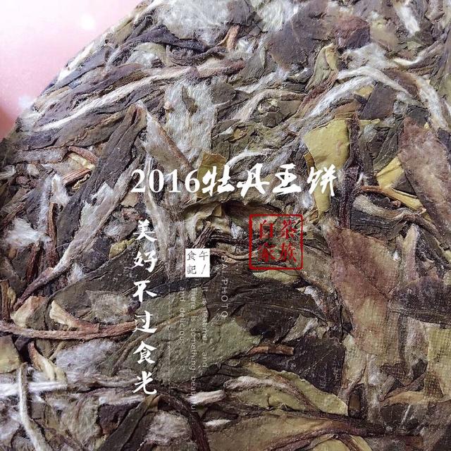 白茶的功效作用，老白茶很好，这样喝更养生