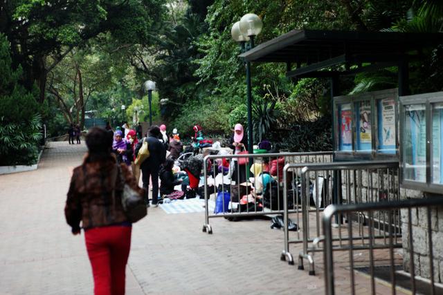 香港重庆大厦强奸案，重庆奥林匹克花园在哪个位置（重庆大厦重庆森林）