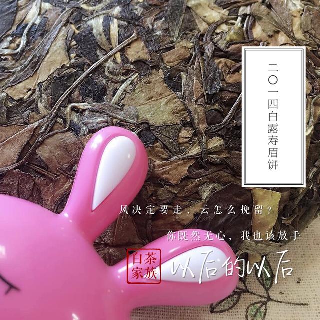 白茶的功效作用，老白茶很好，这样喝更养生