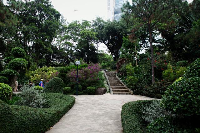 香港重庆大厦强奸案，重庆奥林匹克花园在哪个位置（重庆大厦重庆森林）