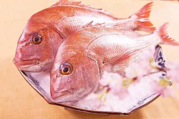 绸鱼，十大好吃的海鱼