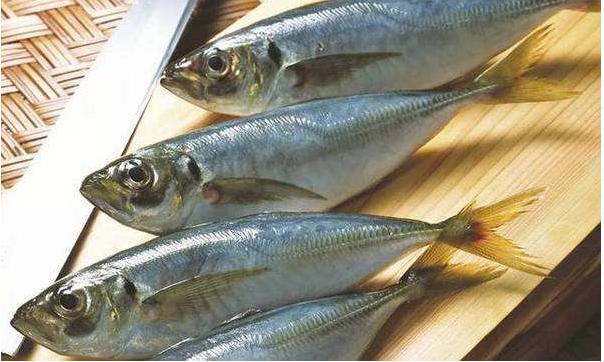 绸鱼，十大好吃的海鱼