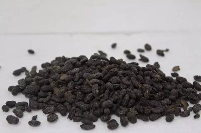 温阳散寒的汤，简易版早春通阳汤