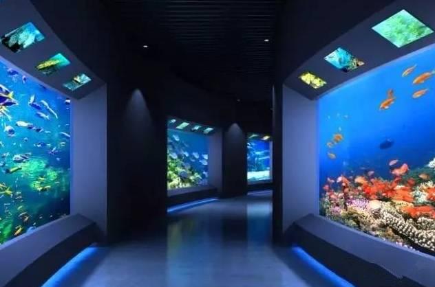 石家庄辛玛王国，河北受喜爱的儿童乐园（石家庄交警发布元旦假期出行提示）