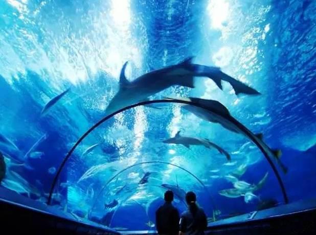 石家庄辛玛王国，河北受喜爱的儿童乐园（石家庄交警发布元旦假期出行提示）