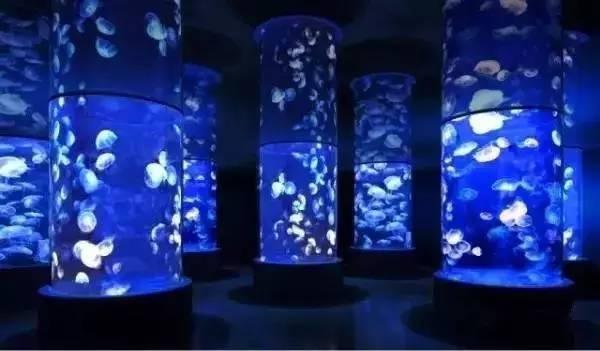 石家庄辛玛王国，河北受喜爱的儿童乐园（石家庄交警发布元旦假期出行提示）