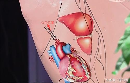 手掌发青的图片，手掌又黄又青是什么原因