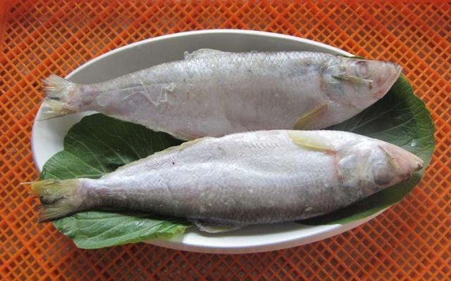 绸鱼，十大好吃的海鱼