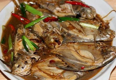 绸鱼，十大好吃的海鱼