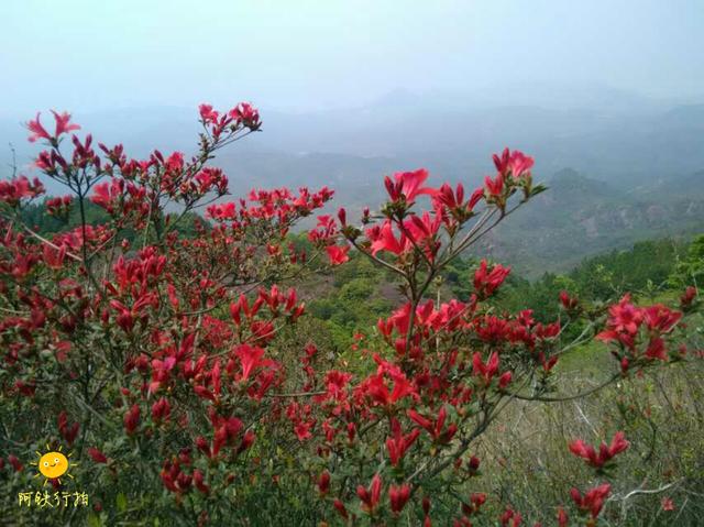 平远县南台山风景区，山是一尊佛 佛是一座山