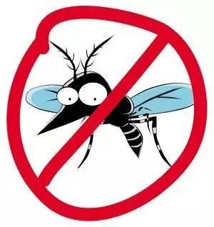 夜跑族必须知道什么，跑者为什么特别招蚊子