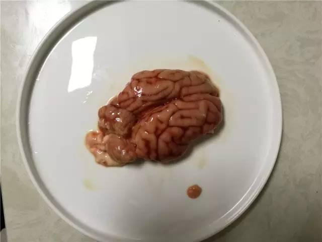猪脑的12种做法，猪脑能下火锅吃