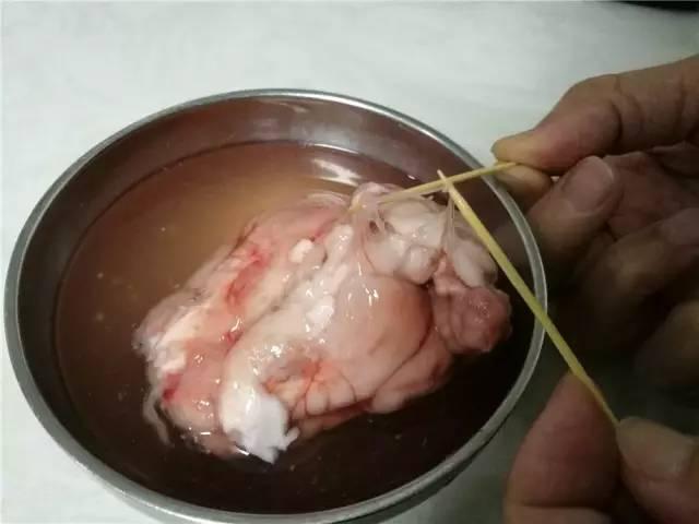 猪脑的12种做法，猪脑能下火锅吃