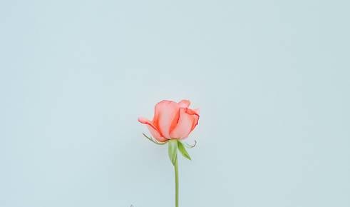 晚安美图170612：珍惜缘分，把握幸福
