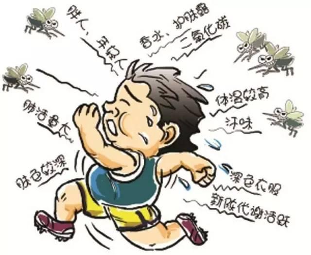 夜跑族必须知道什么，跑者为什么特别招蚊子