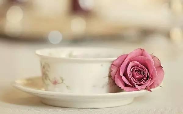 晚安美图170612：珍惜缘分，把握幸福