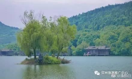 浙江人最新的杨梅采摘攻略来了，今夏常州杨梅采摘攻略新鲜出炉