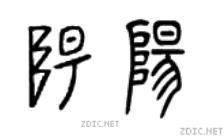 甲骨文的演化构成，甲骨文识别系列