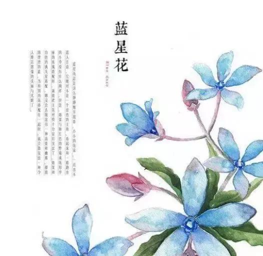 午安心语170615：总有起风的清晨，总有暖和的午后