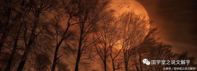 说文解字540部首表，说文解字540部首表及解释（540个部首逐一讲解）