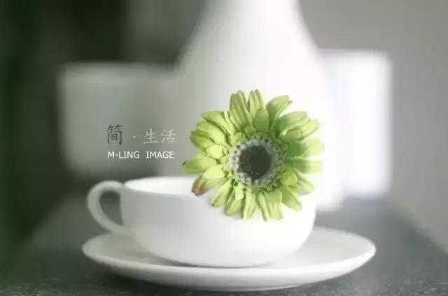 晚安文字170618：看开看淡，活就图个舒坦