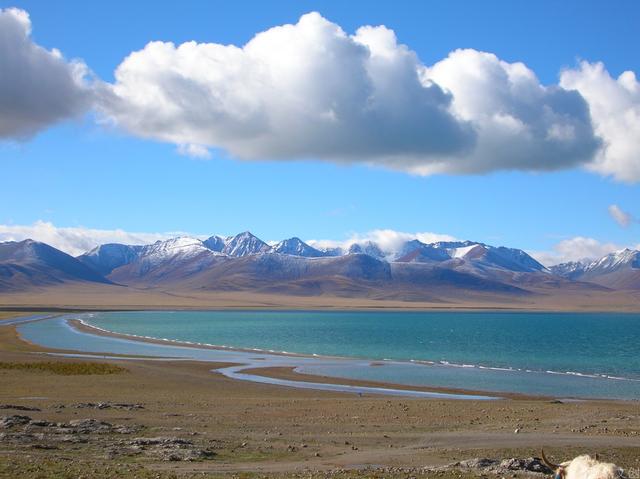 弥勒佛歌曲大全36首，黄胤然原创新佛乐禅歌歌词