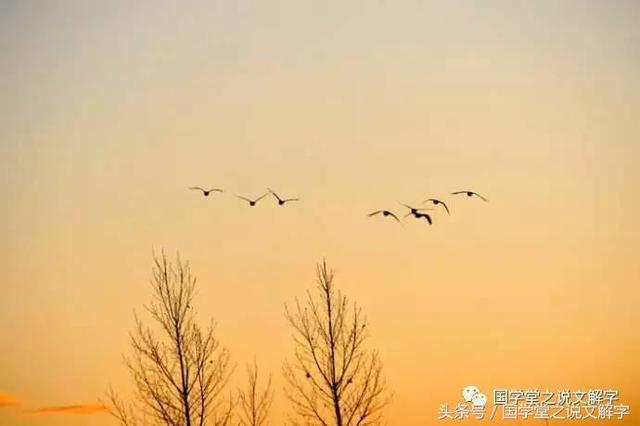 说文解字540部首表，说文解字540部首表及解释（540个部首逐一讲解）