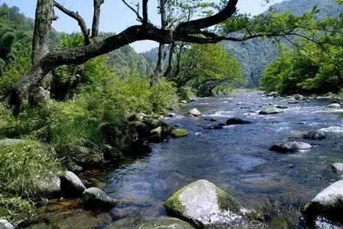 贵州松桃的变化，贵州那个叫松桃的县